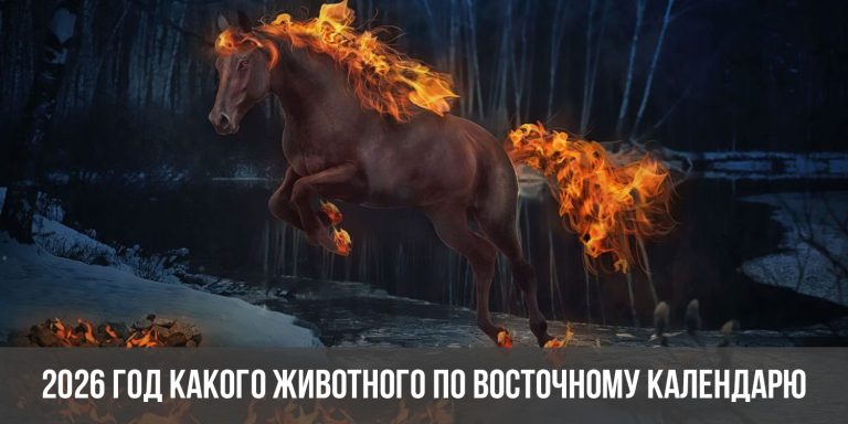 2026 год какого животного по восточному гороскопу | 2026 год кого, чей