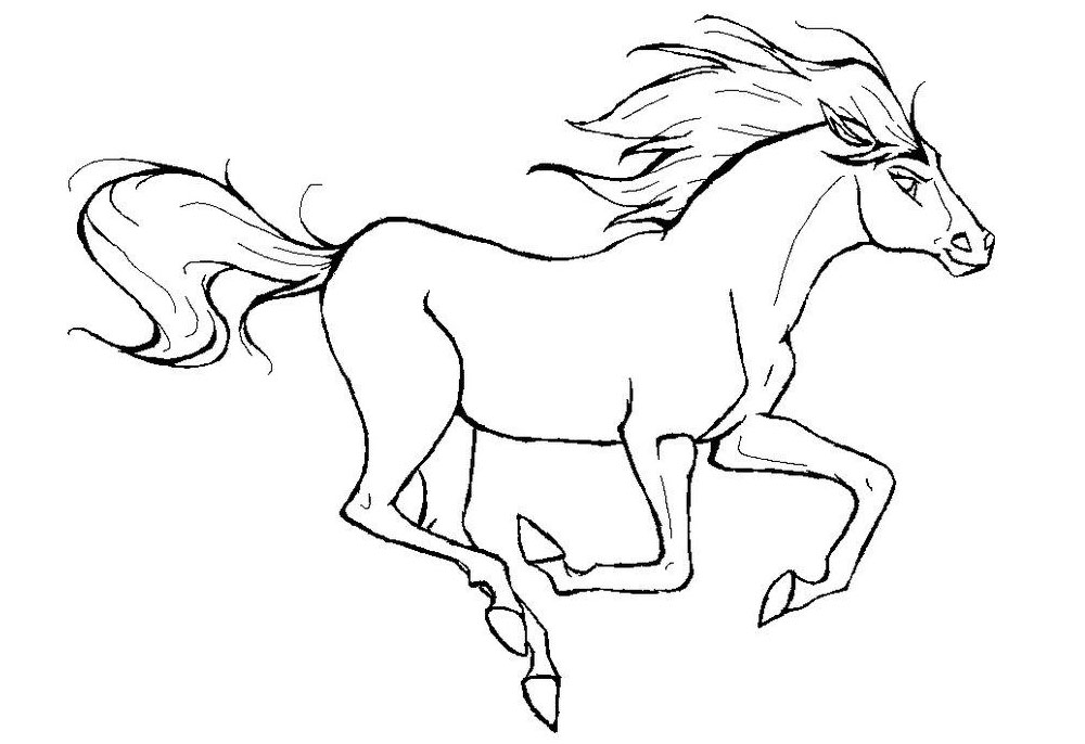 Рисунок лошади для срисовывания
