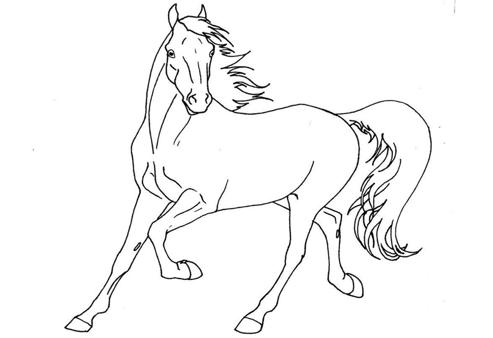 Бегущая лошадь - эскиз для срисовки