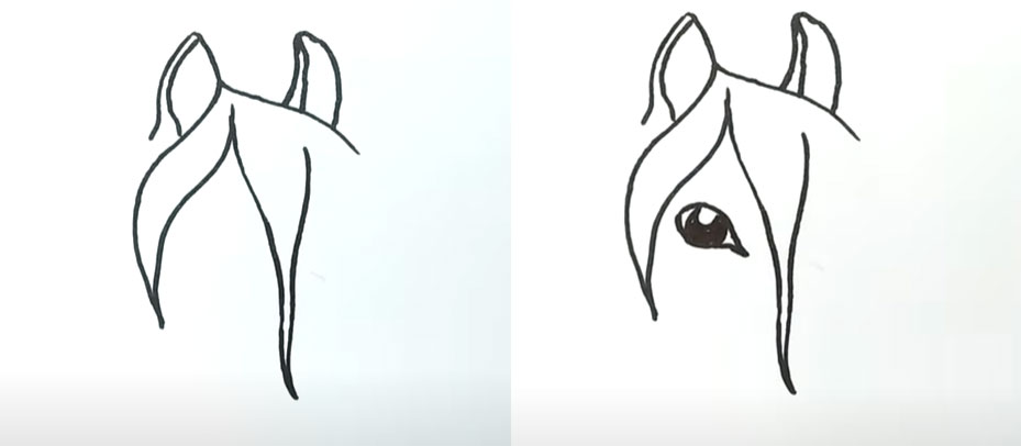 Рисуем реалистичную голову лошади - шаги 3 и 4