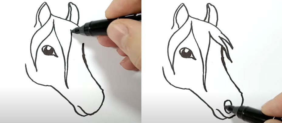 Рисуем реалистичную голову лошади - шаги 5 и 6
