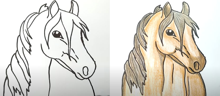 Рисуем реалистичную голову лошади - шаги 9 и 10