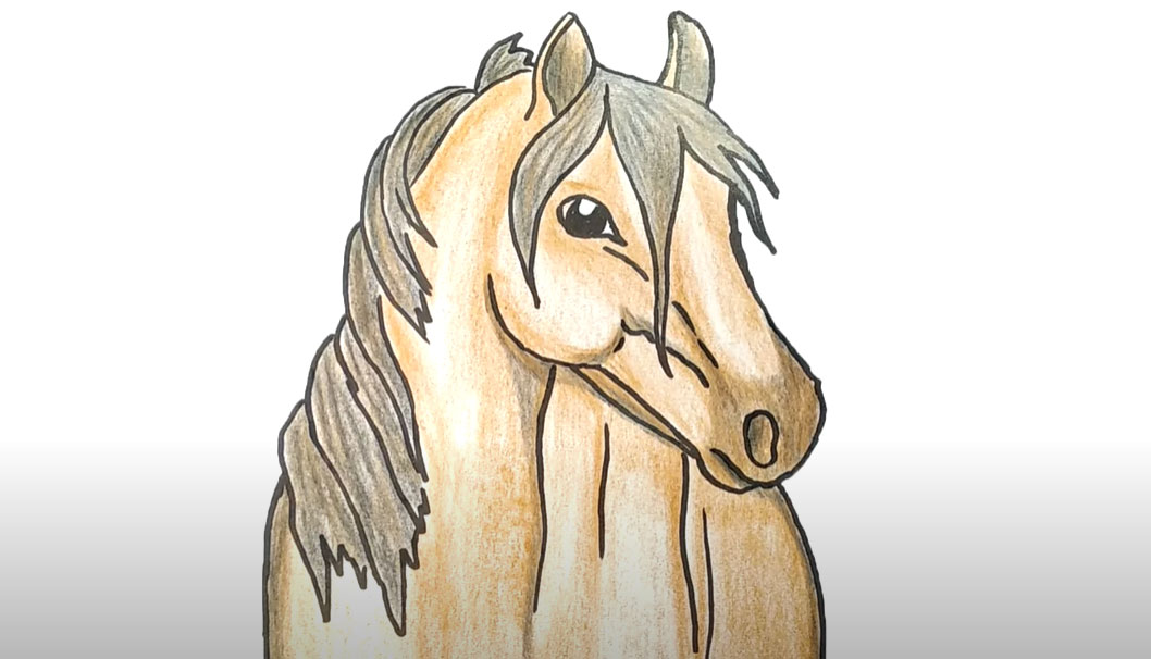 Как нарисовать реалистично голову лошади