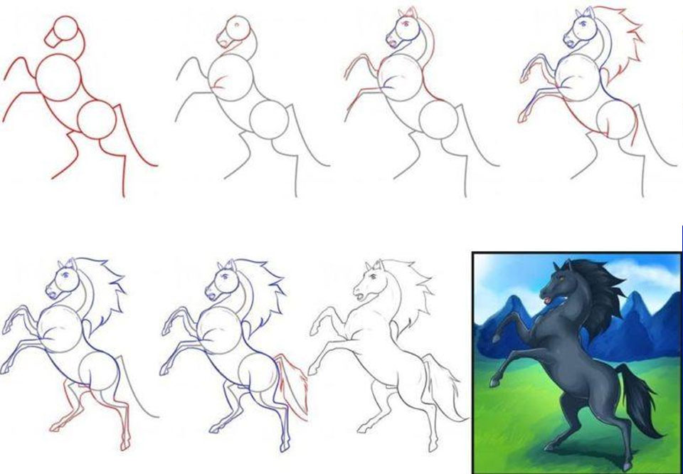 Рисунок лошади поэтапно