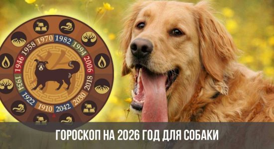 Гороскоп на 2026 год для Собаки