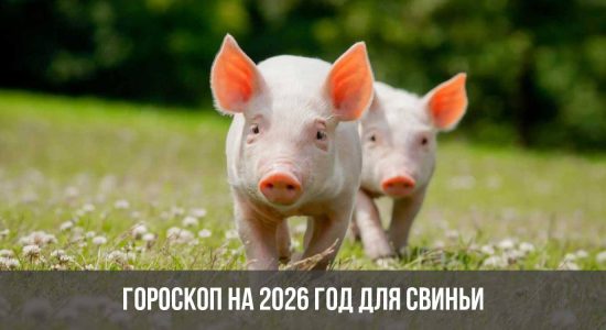 Гороскоп на 2026 год для Свиньи