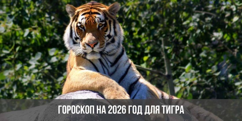 Гороскоп на 2026 год для Тигра