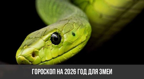 Гороскоп на 2026 год для Змеи