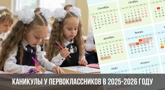 Каникулы у первоклассников в 2025-2026 году