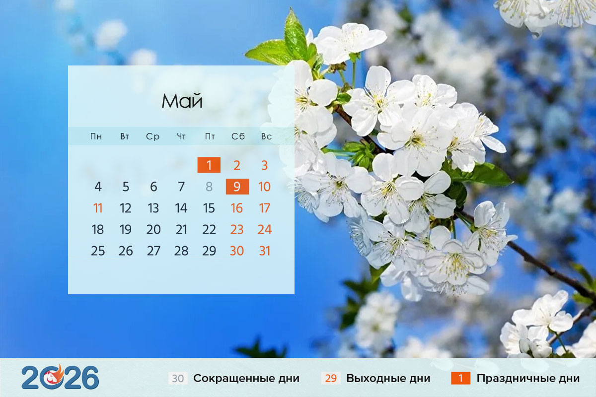 Календарь на май 2026 года для России