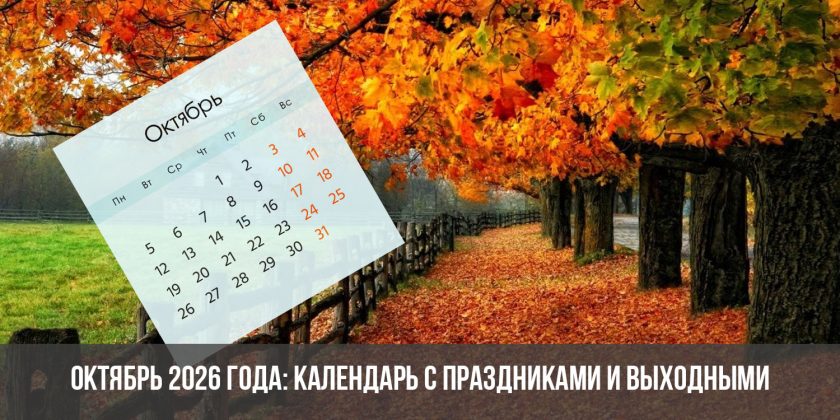 Октябрь 2026 года: календарь с праздниками и выходными