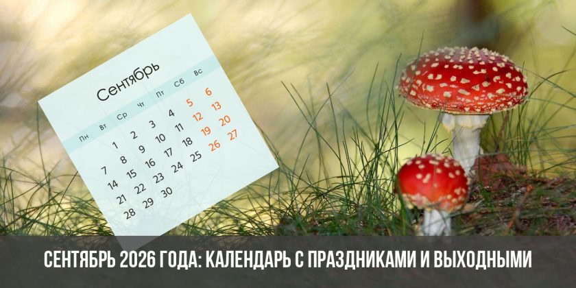 Сентябрь 2026 года: календарь с праздниками и выходными