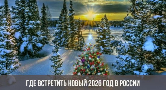 Новый 2026 год в России