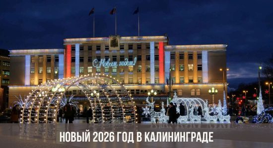 Новый 2026 год в Калининграде