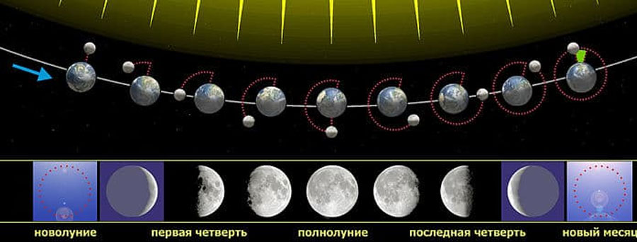 Фазы Луны